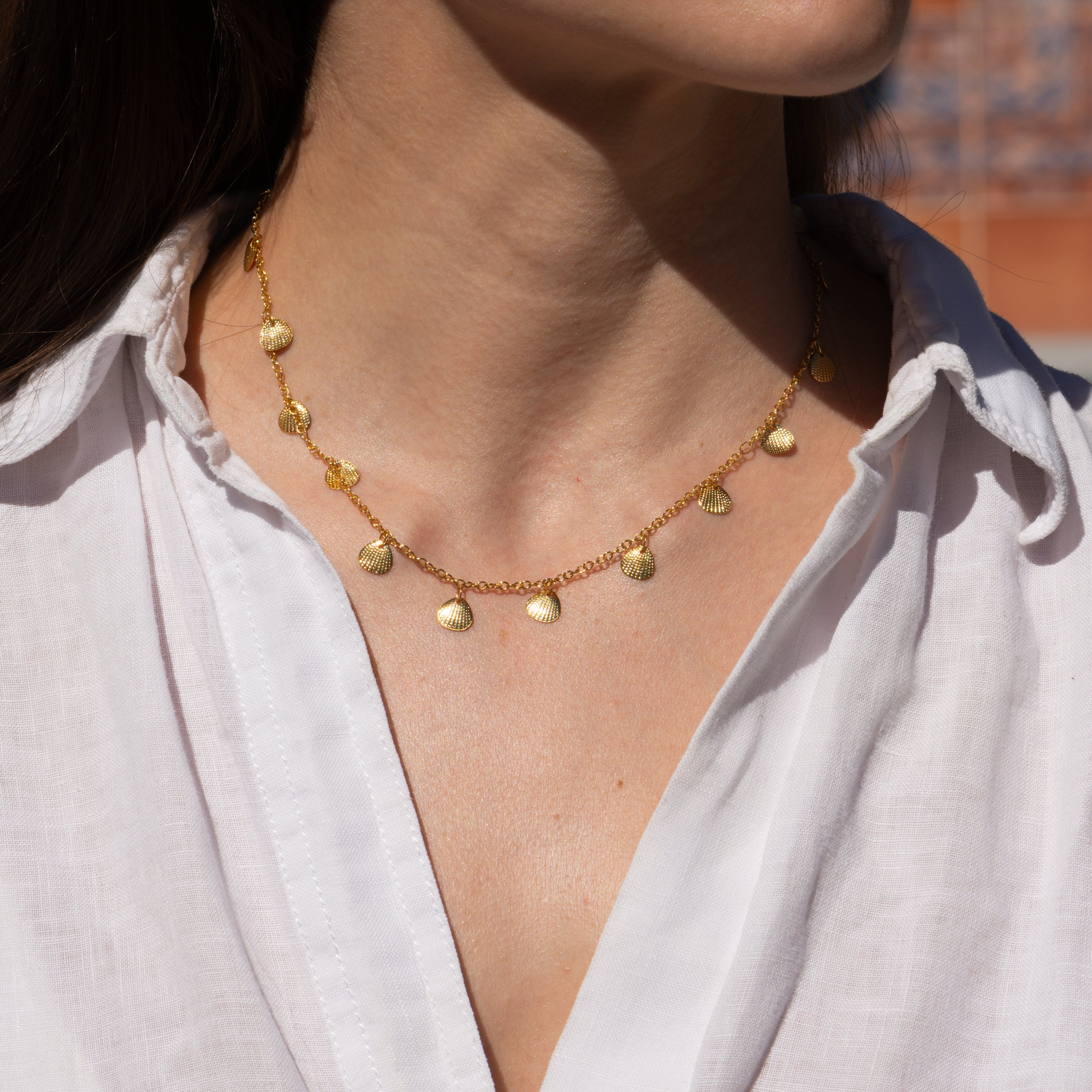 Collares Brisa